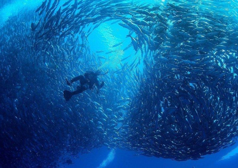 湘江边偶遇何炅，快50岁的何老师还是那么年轻？